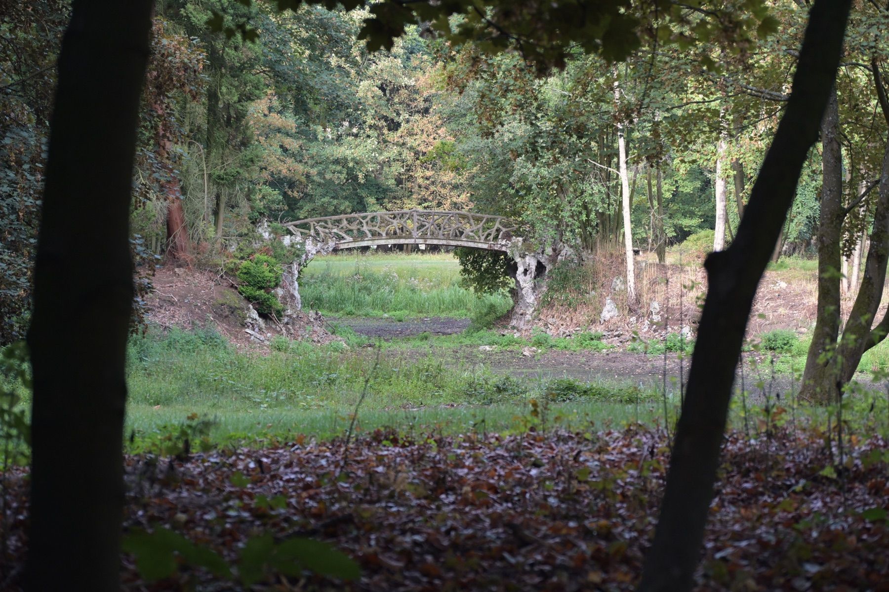 Stenen brug in een parkachtige tuin met hoge bomen